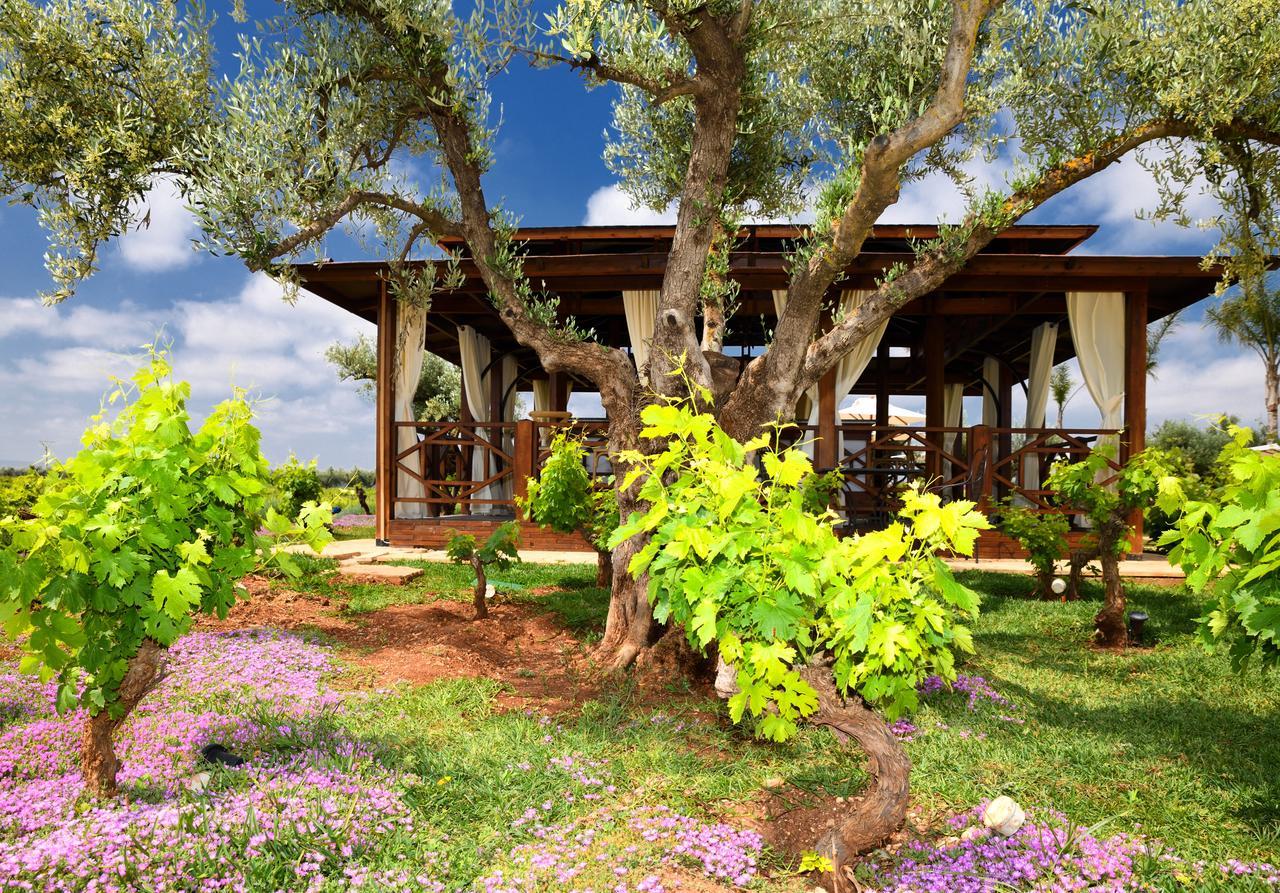 Château Roslane Boutique hôtel&Spa Meknès Exterior foto